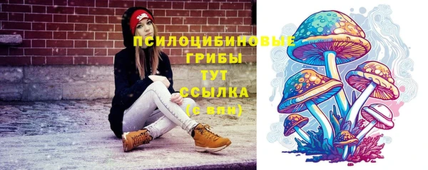 mix Алексин