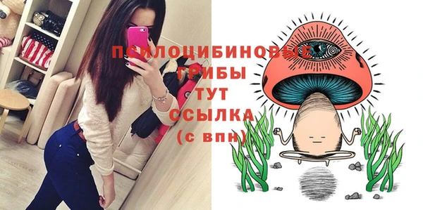 соль курить ск Алексеевка