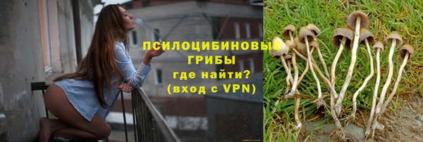 mix Алексин
