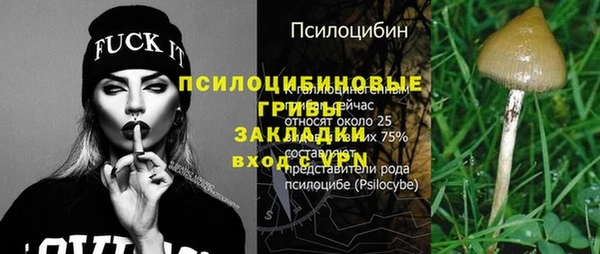 mix Алексин