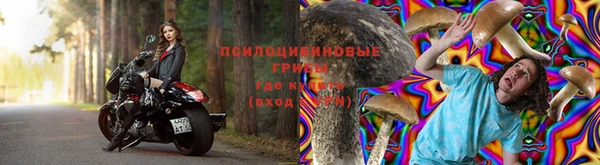 кокс Алзамай