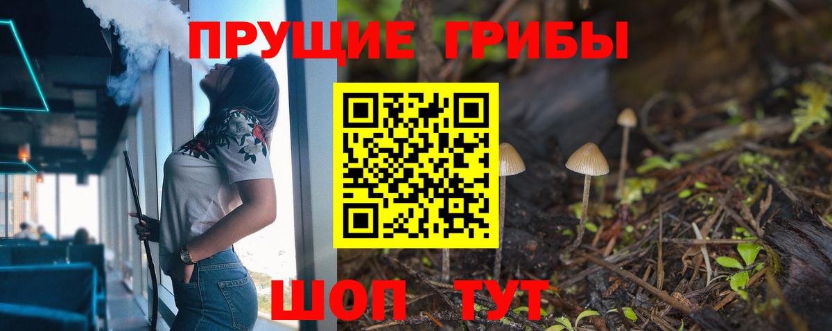 Новороссийск  магазин продажи наркотиков  Галлюциногенные грибы мухоморы  Вход с VPN  Псилоцибиновые грибы ЛСД 