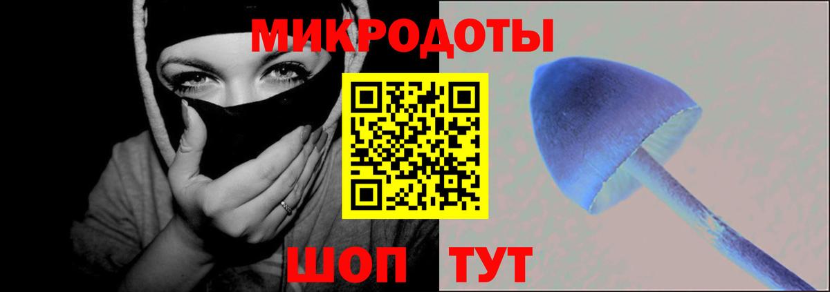 Псилоцибиновые грибы ЛСД Новороссийск