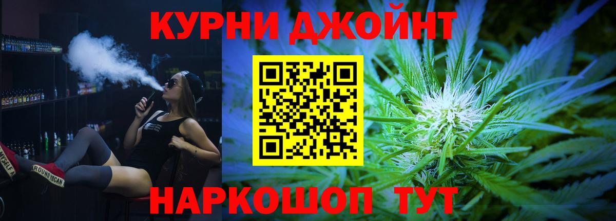 Бошки Шишки план Новороссийск
